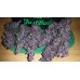 LSD-25 Auto - FastBuds